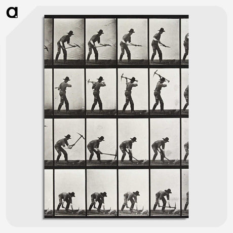 1-67_Eadweard-Muybridge_picture-crop