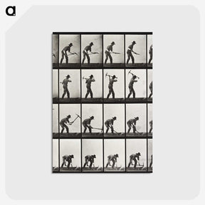 1-67_Eadweard-Muybridge_postcard