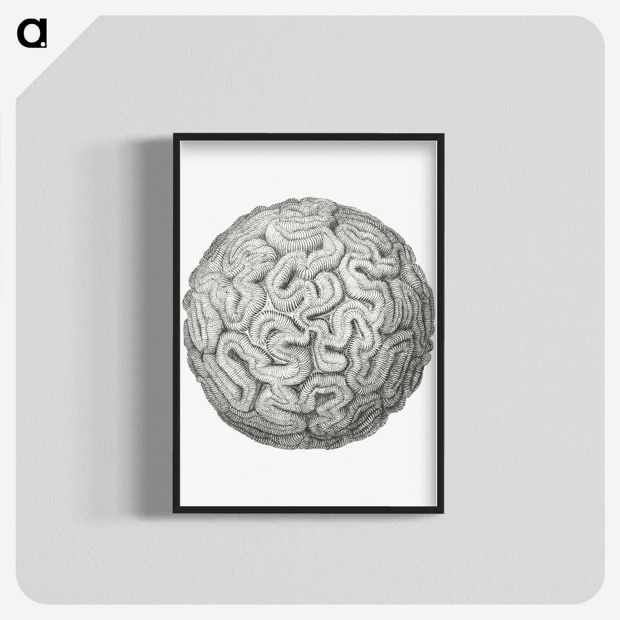 1-67_Ernst-Haeckel_blk-crop