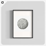 1-67_Ernst-Haeckel_blk