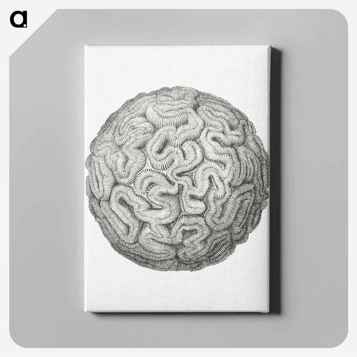 1-67_Ernst-Haeckel_canvas