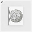 アートメモ帳-Vintage coral illustration on white background - エルンスト ヘッケル Memo.