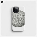 1-67_Ernst-Haeckel_phone
