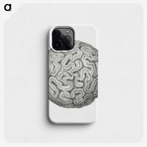 1-67_Ernst-Haeckel_phone