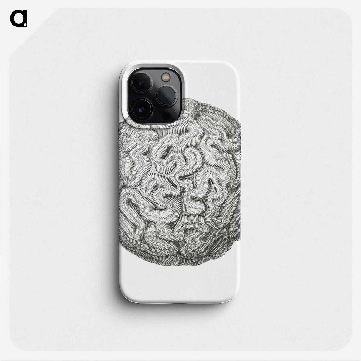 Vintage coral illustration on white background - エルンスト ヘッケル Phone Case.