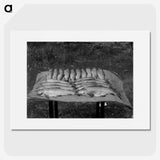 1-67_Frederick-Charles-Brockett_picture