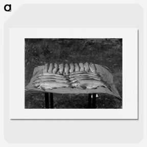 1-67_Frederick-Charles-Brockett_picture