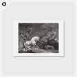 アートポストカード-A Horse Affrighted by a Lion
 - ジョージ スタッブス Postcard.