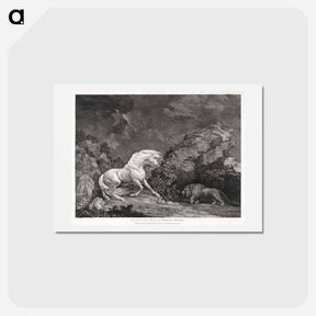 アートポストカード-A Horse Affrighted by a Lion
 - ジョージ スタッブス Postcard.