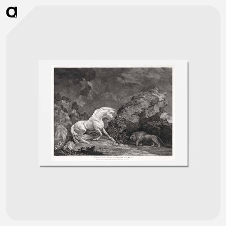 アートポストカード-A Horse Affrighted by a Lion
 - ジョージ スタッブス Postcard.