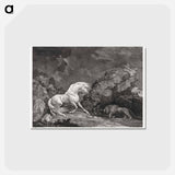 アートポストカード-A Horse Affrighted by a Lion
 - ジョージ スタッブス Postcard.