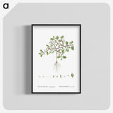 1-67_Histoire-des-Plantes-Grasses_blk-crop