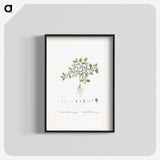1-67_Histoire-des-Plantes-Grasses_blk