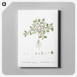 1-67_Histoire-des-Plantes-Grasses_canvas