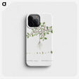 1-67_Histoire-des-Plantes-Grasses_phone