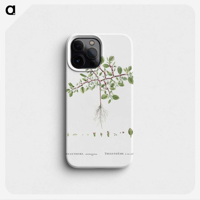 1-67_Histoire-des-Plantes-Grasses_phone