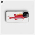 1-67_Ichtyologie-ou-Histoire-naturelle_phone