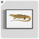 1-67_Indian-Zoology_blk-crop