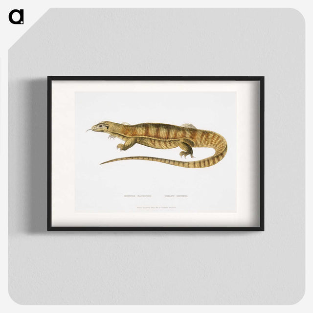 1-67_Indian-Zoology_blk