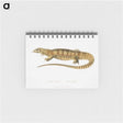 1-67_Indian-Zoology_memo