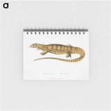 1-67_Indian-Zoology_memo