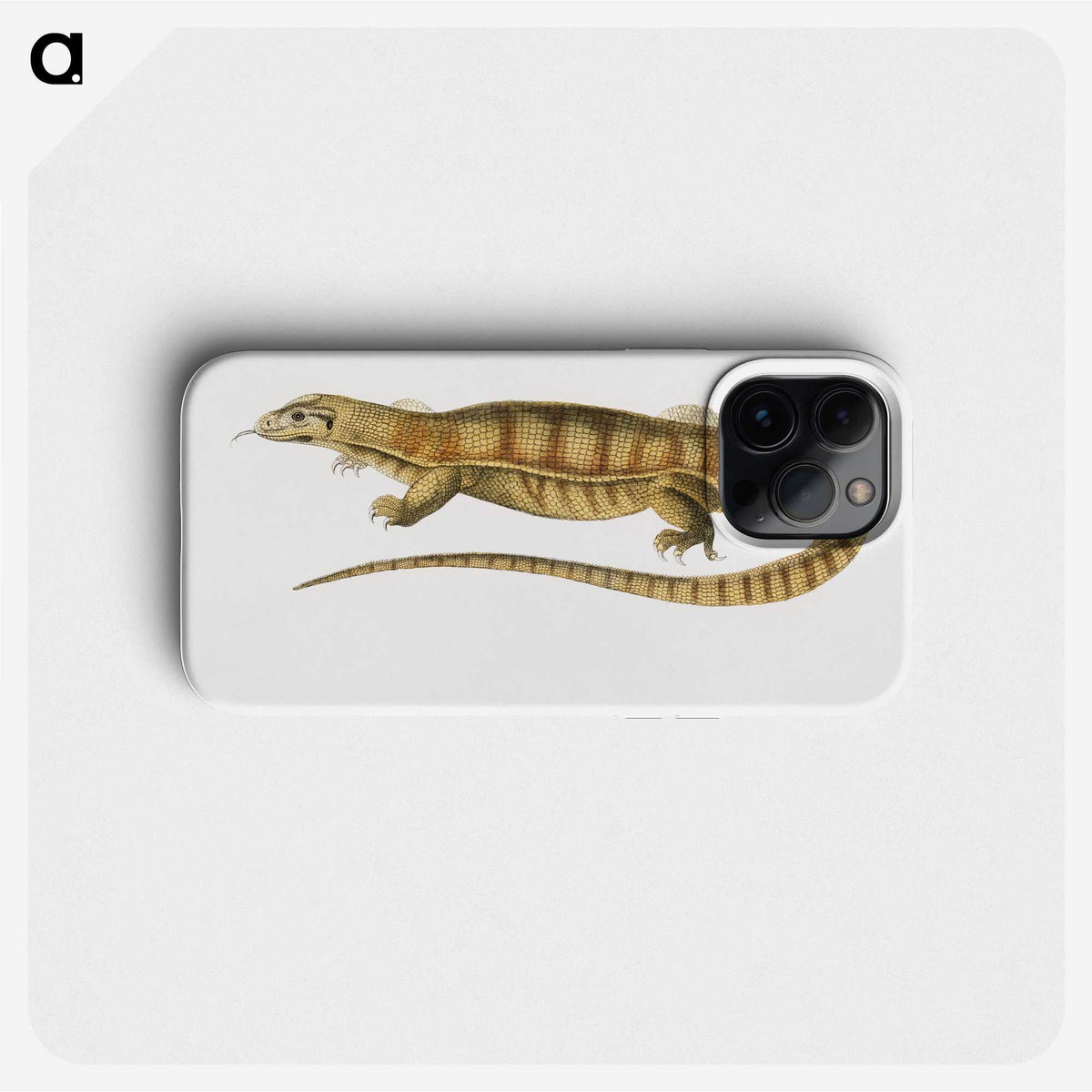 1-67_Indian-Zoology_phone