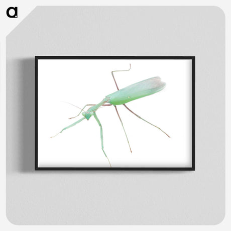 1-67_Insects-Unlocked-Project_blk-crop