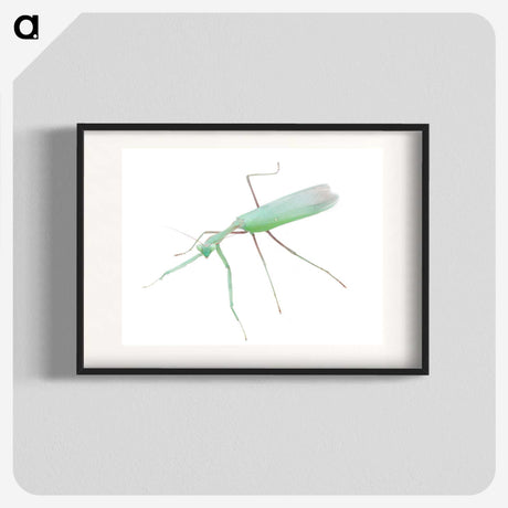 1-67_Insects-Unlocked-Project_blk