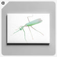 1-67_Insects-Unlocked-Project_canvas