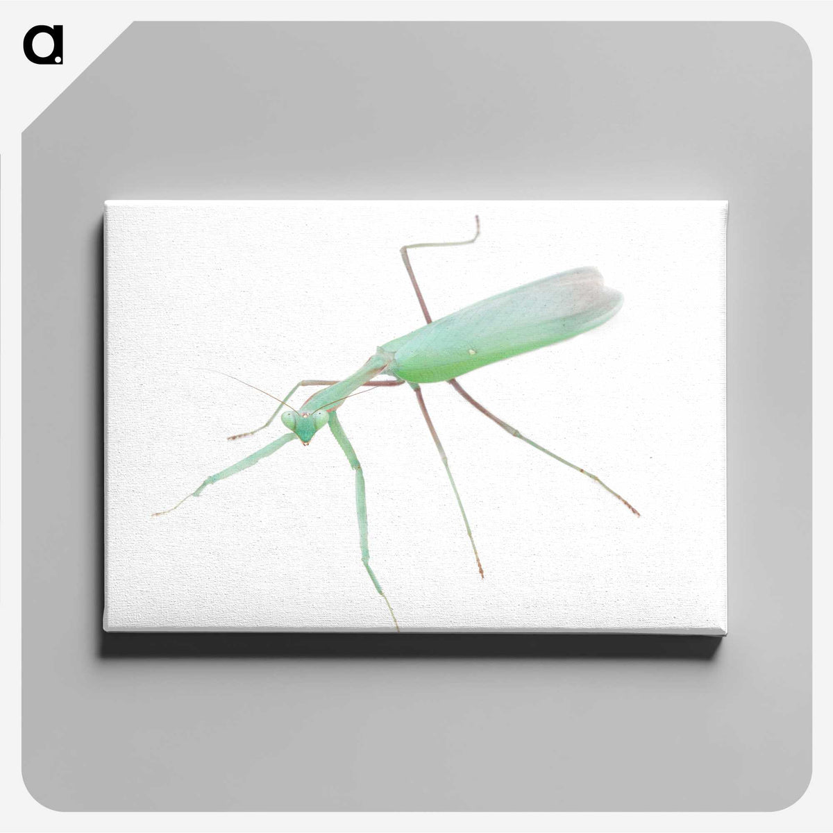 1-67_Insects-Unlocked-Project_canvas