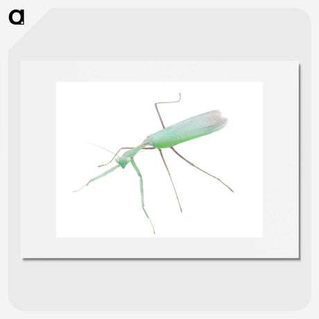 1-67_Insects-Unlocked-Project_picture