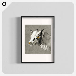 アートポスター-Head of a goat - ジャン ベルナール Poster.