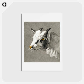 アートポストカード-Head of a goat - ジャン ベルナール Postcard.