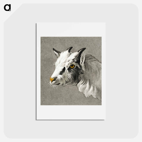 アートポストカード-Head of a goat - ジャン ベルナール Postcard.