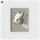 1-67_Jean-Bernard_memo