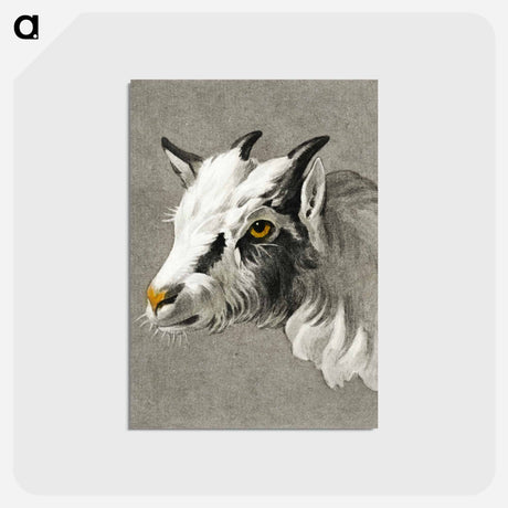 アートポストカード-Head of a goat - ジャン ベルナール Postcard.