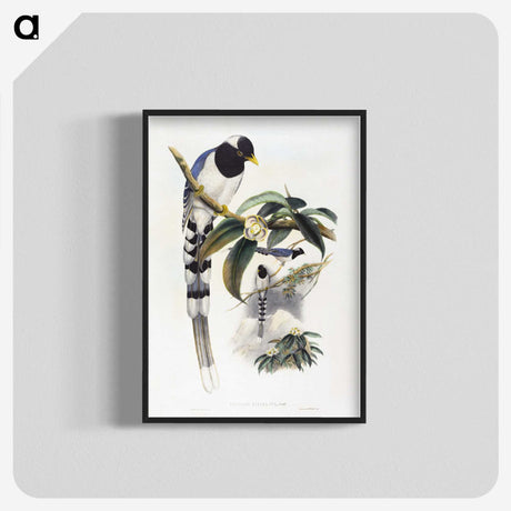 1-67_John-Gould_blk-crop