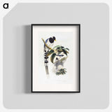 1-67_John-Gould_blk