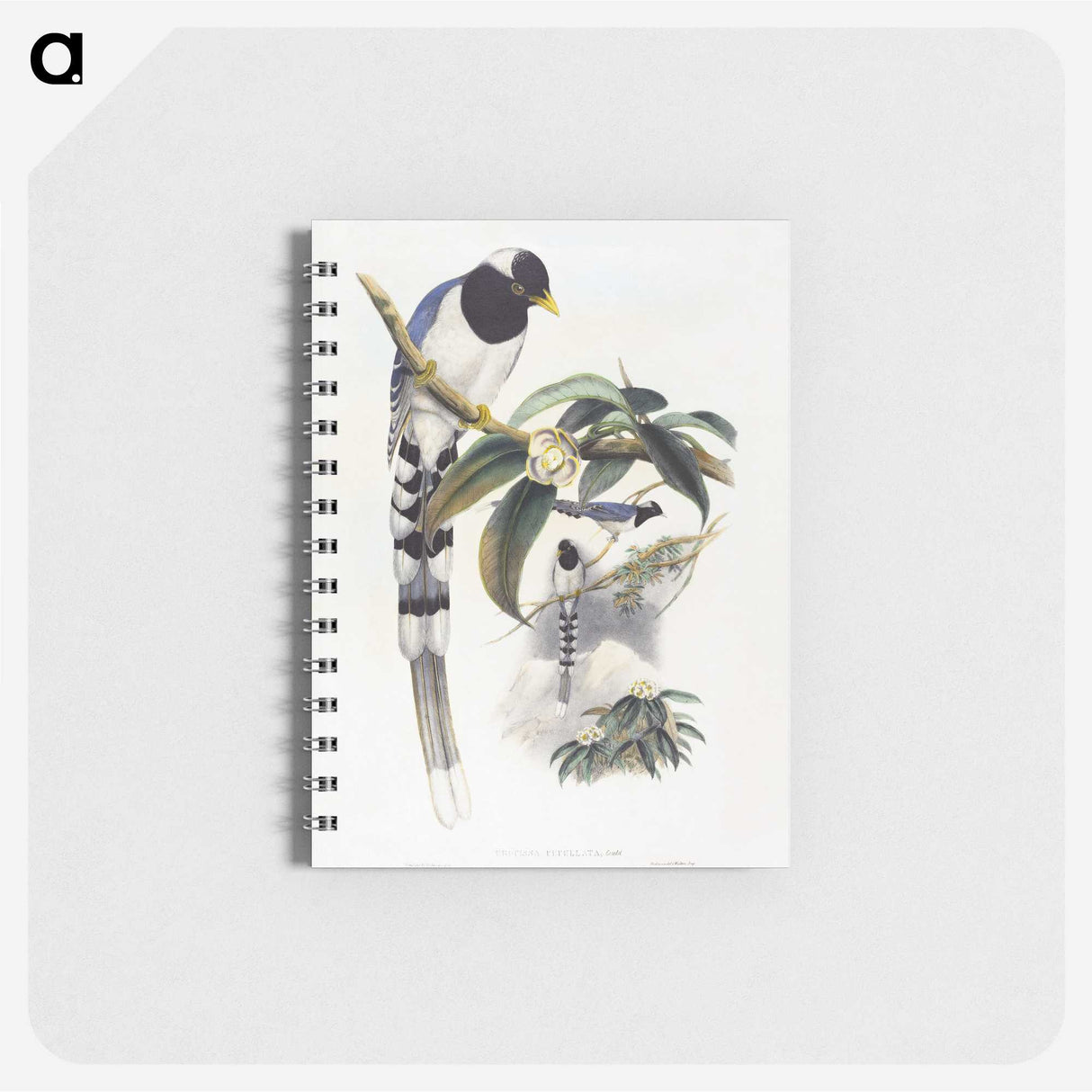 1-67_John-Gould_memo