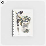1-67_John-Gould_memo