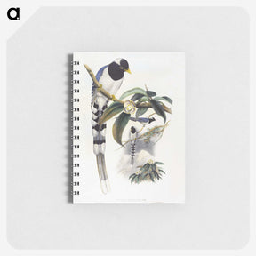 1-67_John-Gould_memo