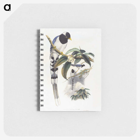 1-67_John-Gould_memo