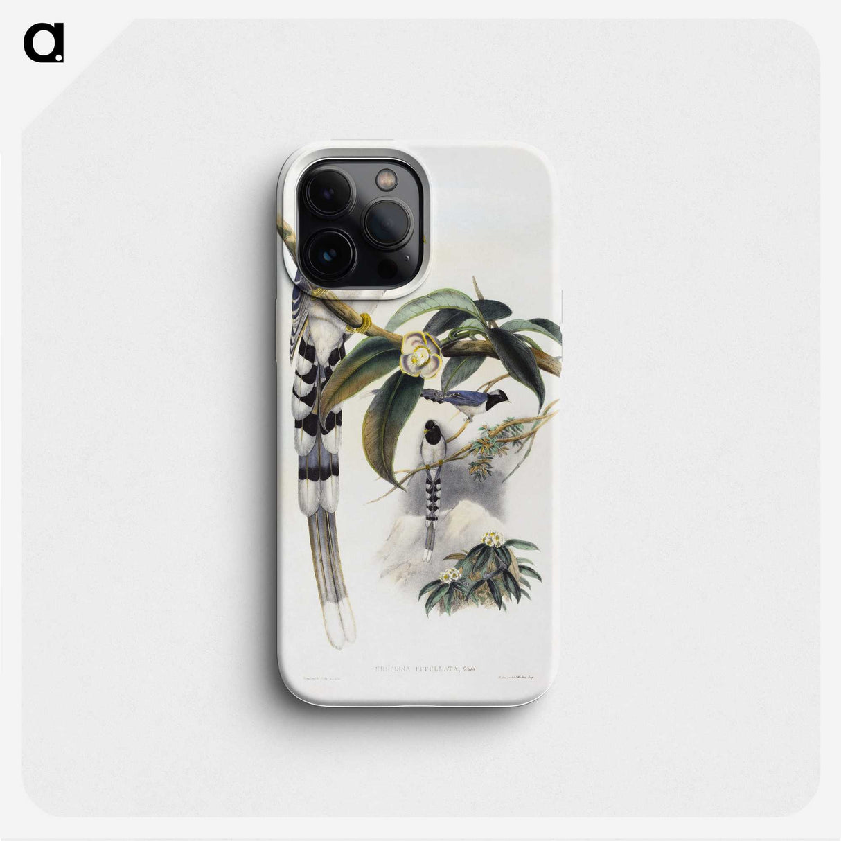1-67_John-Gould_phone