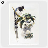 1-67_John-Gould_picture-crop
