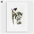 1-67_John-Gould_picture