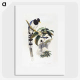 1-67_John-Gould_picture
