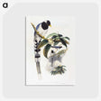 1-67_John-Gould_postcard