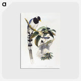 1-67_John-Gould_postcard