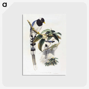 1-67_John-Gould_postcard
