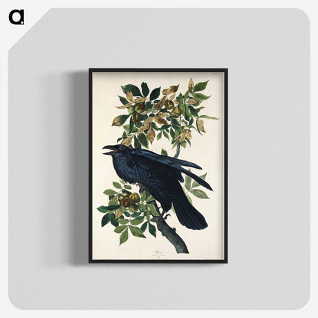 1-67_John-James-Audubon_blk-crop